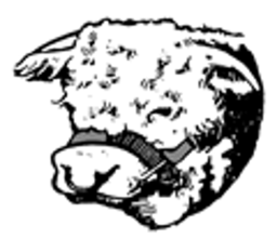 1950 - 1951