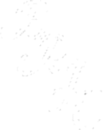 1979 - 1980