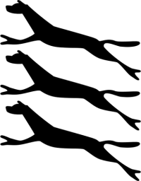 1974 - 1979