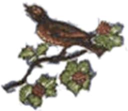 1969 - 1972
