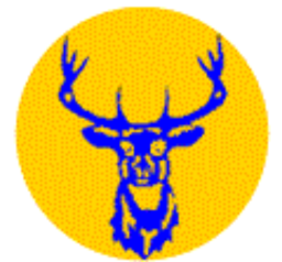 1968 - 1974