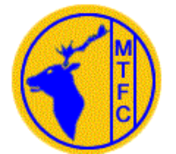 1984 - 1994