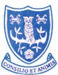 1966
