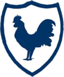 1921 - 1951