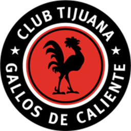 2006 - 2007
