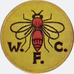 1968 - 1974