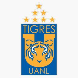 2019 - 2020