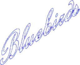 1965 - 1969