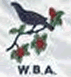 1986 - 1994