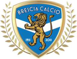 2010 - 2011