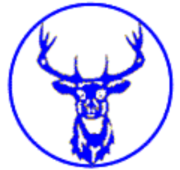 1965 - 1968