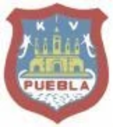 1970 - 1981