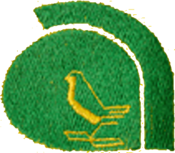 1972 - 1975