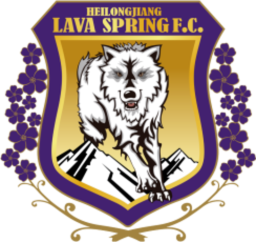 2017 - 2020