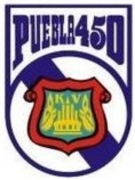 1981 - 1982
