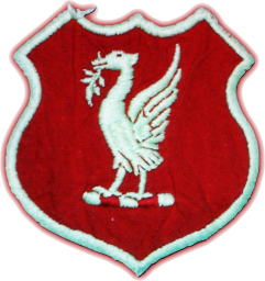 1950 - 1955