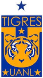 2015 - 2016