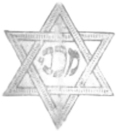 1913 - 1919