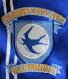 1985 - 1988