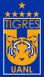 2018 - 2019