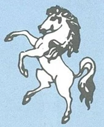 1976 - 1981