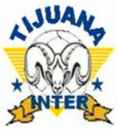 1989 - 1990