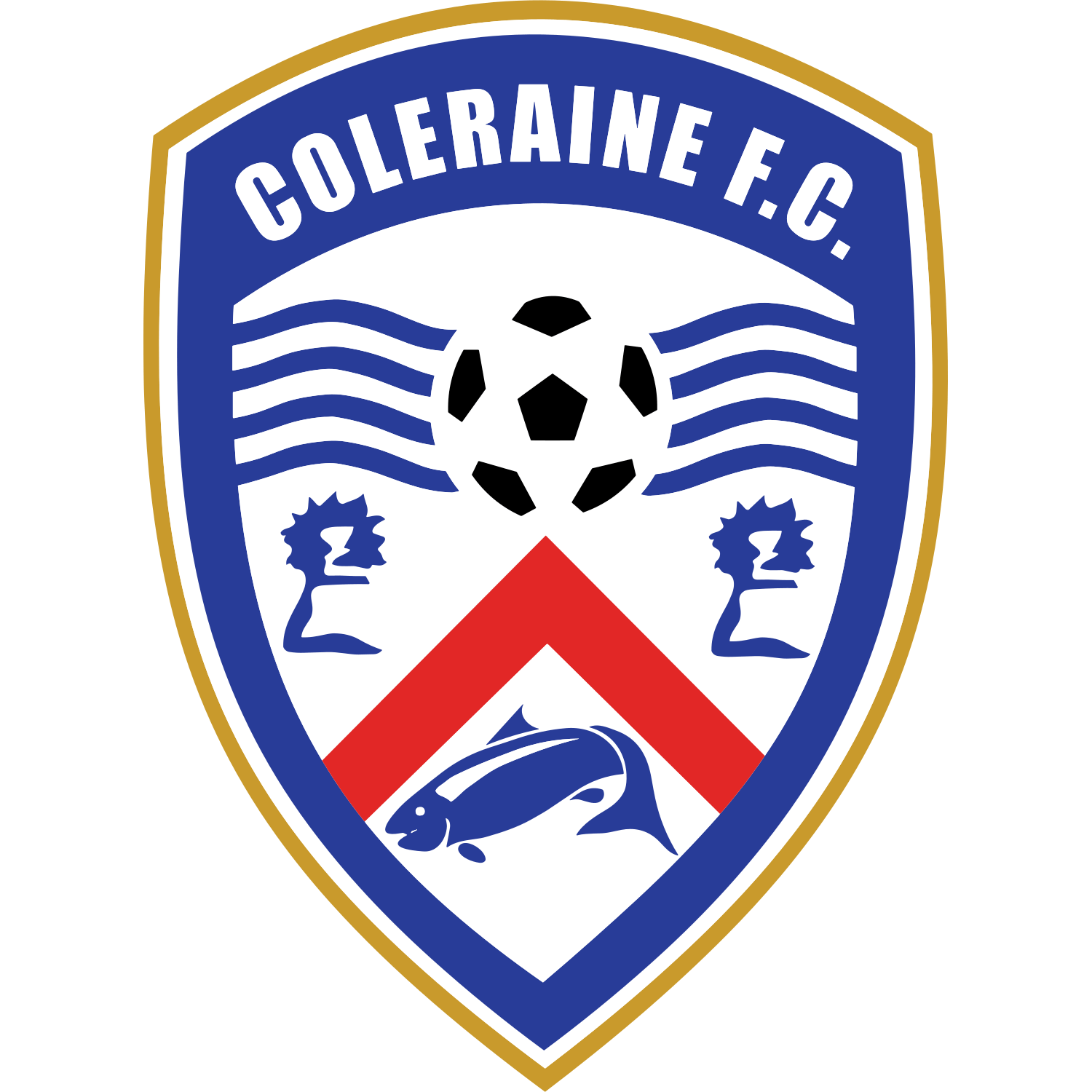 Emblema Coleraine FC