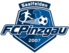Crest — FC Pinzgau Saalfelden