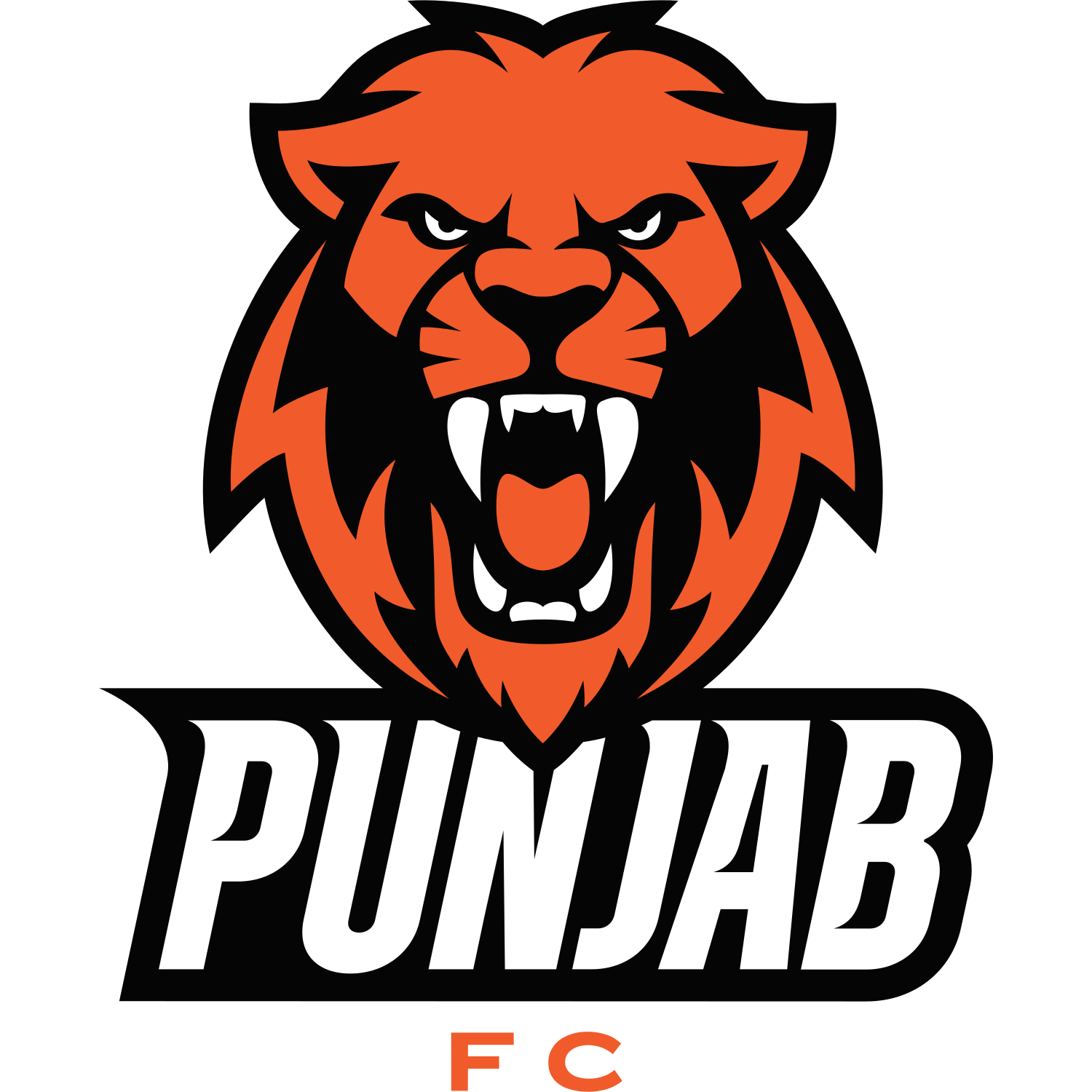 Crest — Punjab FC