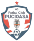 Crest — CS Pucioasa