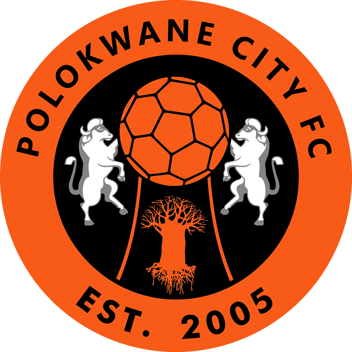 Crest — Polokwane City FC
