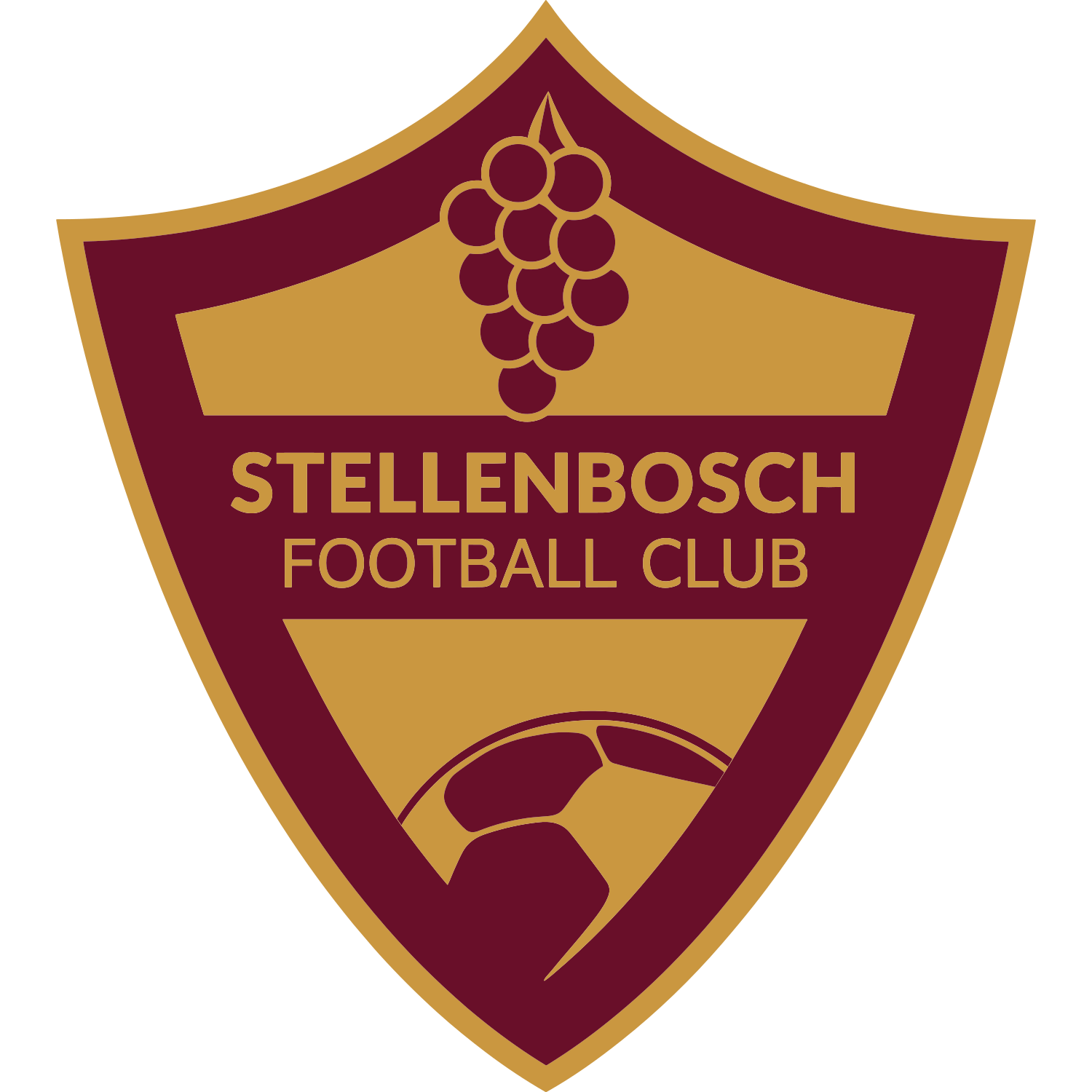 Crest — Stellenbosch FC