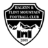 Crest — Flint Mountain FC