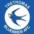 Crest — Trethomas Bluebirds AFC