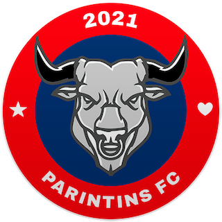 Crest — Parintins Futebol Clube