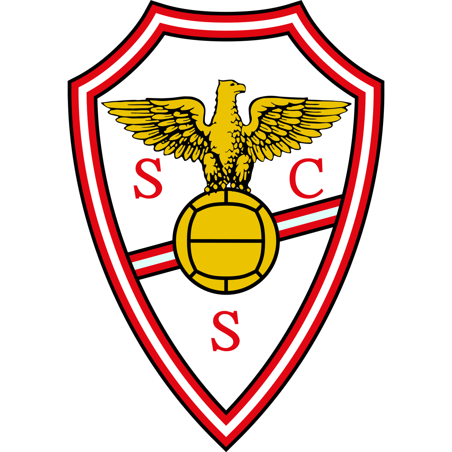Crest — SC Salgueiros
