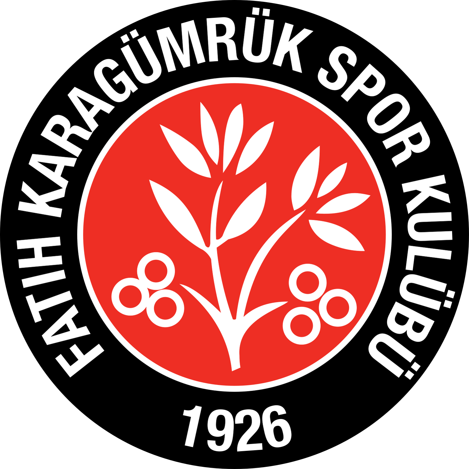 Crest — Fatih Karagümrük SK