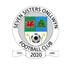 Emblema Seven Sisters Onllwyn AFC