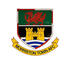 Crest — Morriston Town AFC