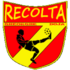 Crest — CS Recolta Gheorghe Doja