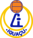 Crest — Associação Atlética Iguaçu