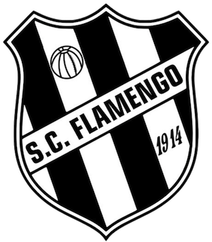 Crest — Flamengo Futebol Clube (Recife)