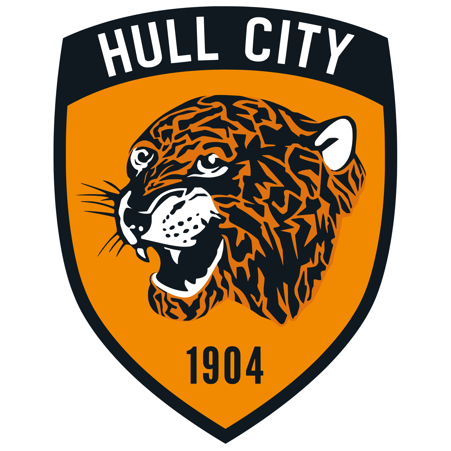 Emblema Hull City AFC