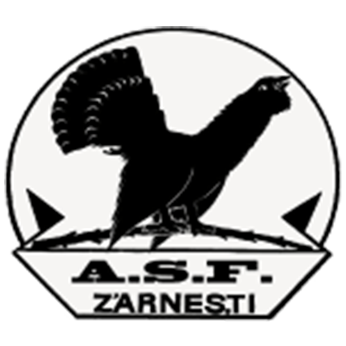 Crest — CS Olimpic Zărnești