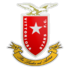 Emblema Vittoriosa Stars