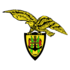 Crest — Clube Desportivo Beira Mar