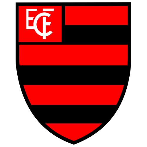 Crest — Flamengo Esporte Clube (Teresina)