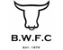 Emblema Builth Wells FC