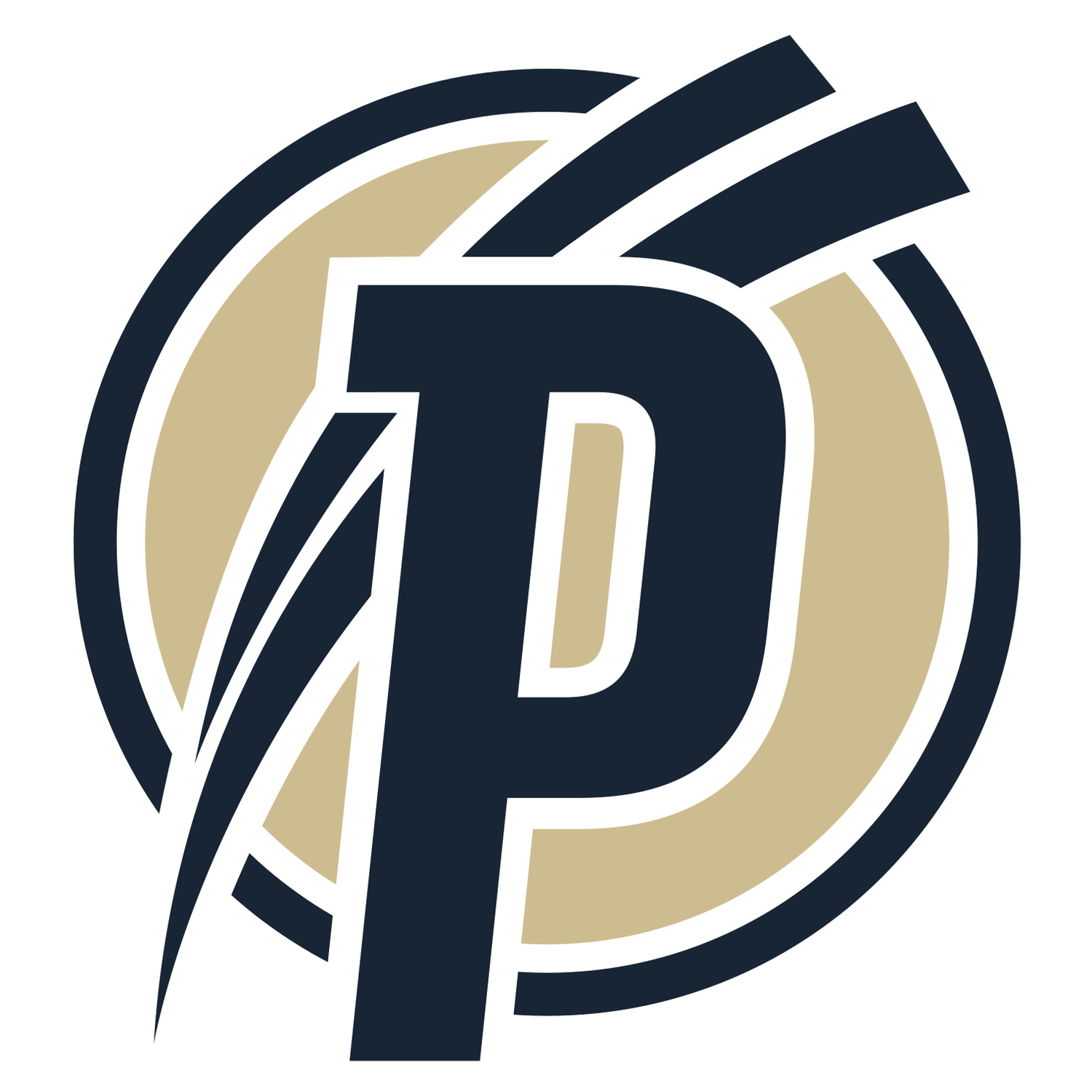 Crest — Puskás Akadémia FC