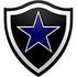 Crest — Botafogo Futebol Clube (Porto Velho)